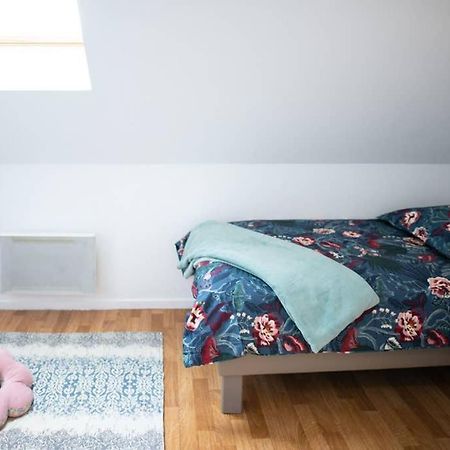 Duplex Tout Equipe, Proche Centre-Ville Colmar, Parking Eksteriør billede