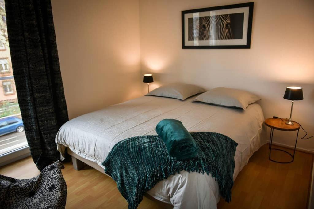 Duplex Tout Equipe, Proche Centre-Ville Colmar, Parking Eksteriør billede